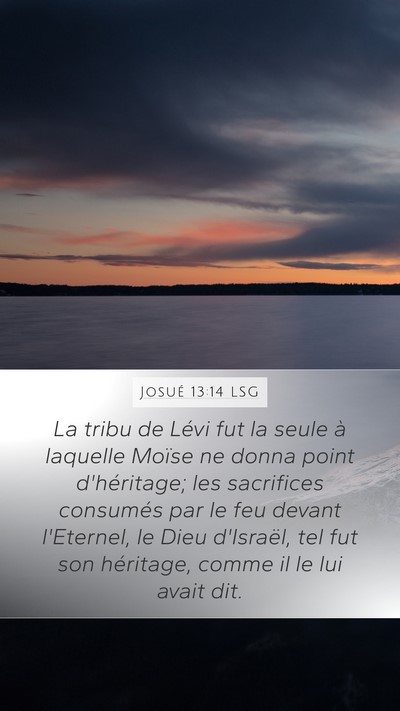 Josué 13:14 LSG Bible Verse Image