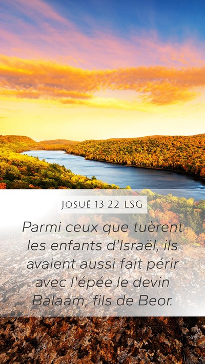 Josué 13:22 LSG Bible Verse Image
