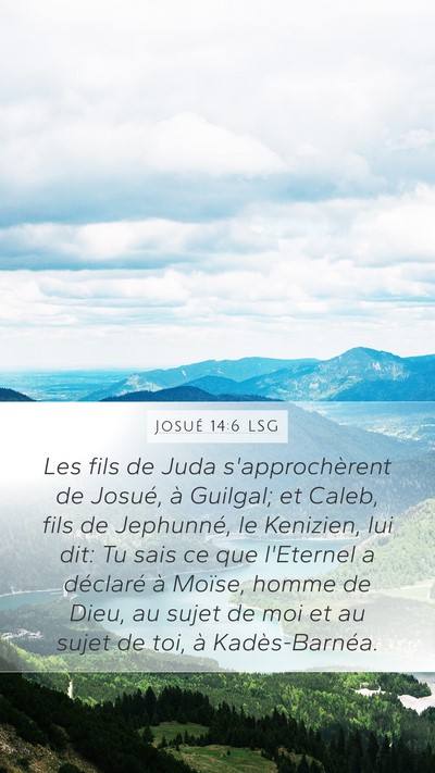 Josué 14:6 LSG Bible Verse Image