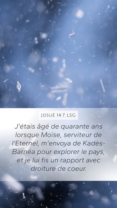 Josué 14:7 LSG Mobile Phone Wallpaper - J'étais âgé de quarante ans lorsque Moïse, - Mobile Bible Verse Wallpaper