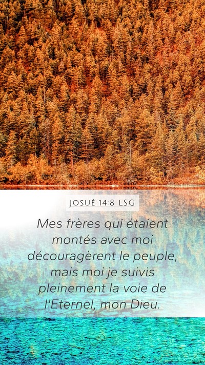 Josué 14:8 LSG Bible Verse Image