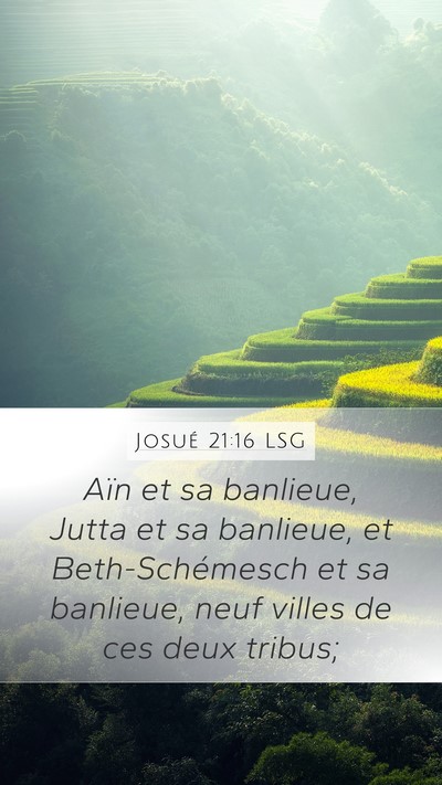Josué 21:16 LSG Bible Verse Image