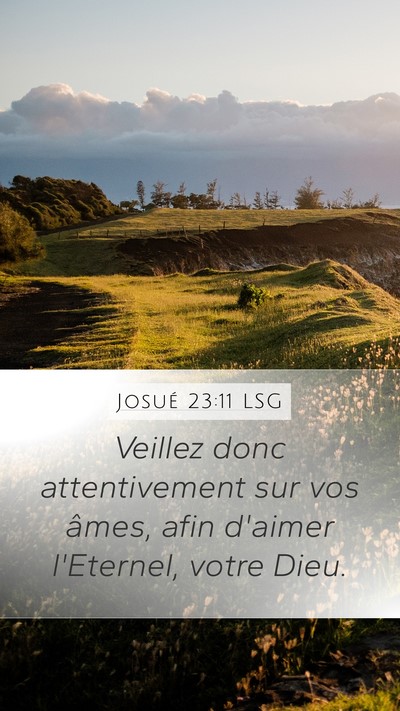 Josué 23:11 LSG Mobile Phone Wallpaper - Veillez donc attentivement sur vos âmes, afin - Mobile Bible Verse Wallpaper