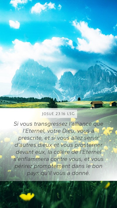 Josué 23:16 LSG Mobile Phone Wallpaper - Si vous transgressez l'alliance que l'Eternel, - Mobile Bible Verse Wallpaper
