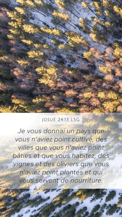 Josué 24:13 LSG Bible Verse Image