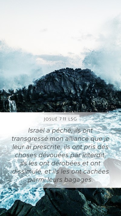 Josué 7:11 LSG Bible Verse Image
