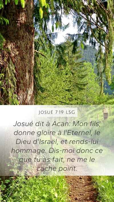 Josué 7:19 LSG Bible Verse Image
