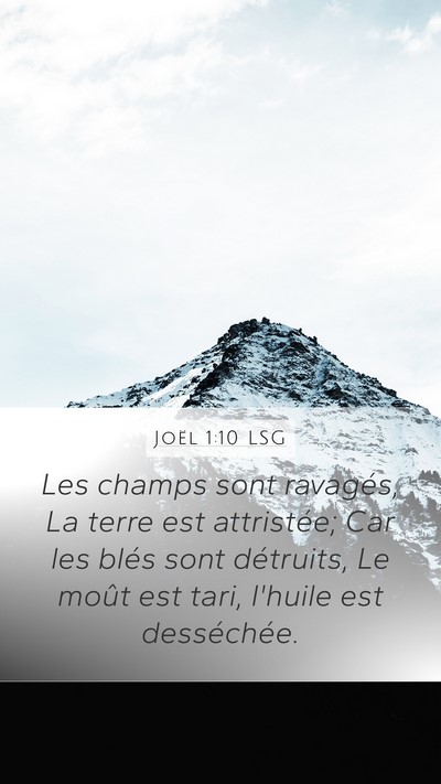 Joël 1:10 LSG Bible Verse Image