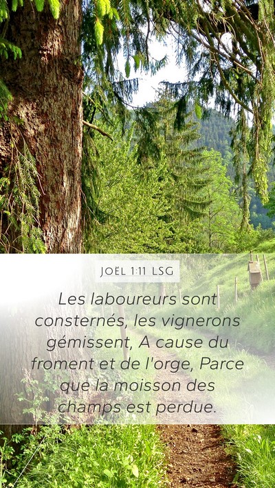 Joël 1:11 LSG Bible Verse Image