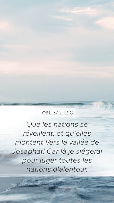Joël 3:12 LSG Bible Verse Image