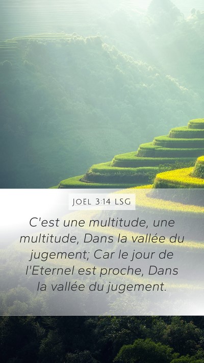 Joël 3:14 LSG Bible Verse Image