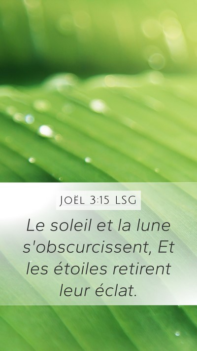 Joël 3:15 LSG Bible Verse Image