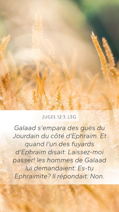 Juges 12:5 LSG Bible Verse Image