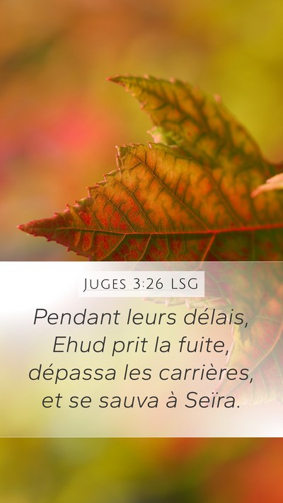 Juges 3:26 LSG Bible Verse Image