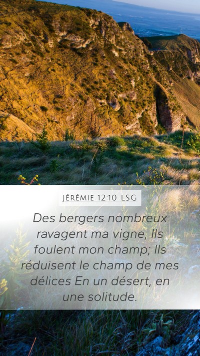 Jérémie 12:10 LSG Bible Verse Image