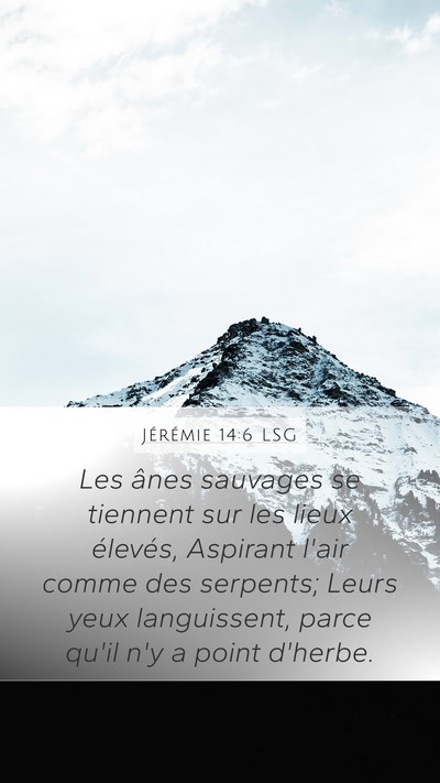 Jérémie 14:6 LSG Bible Verse Image