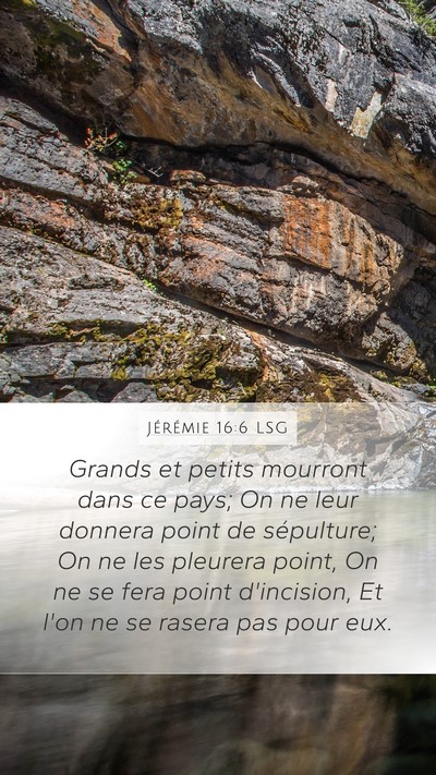 Jérémie 16:6 LSG Bible Verse Image