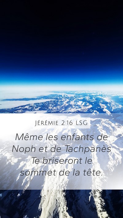 Jérémie 2:16 LSG Mobile Phone Wallpaper - Même les enfants de Noph et de Tachpanès Te - Mobile Bible Verse Wallpaper