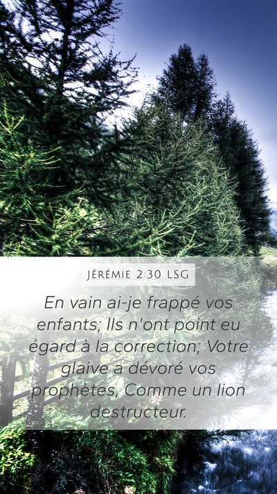 Jérémie 2:30 LSG Bible Verse Image