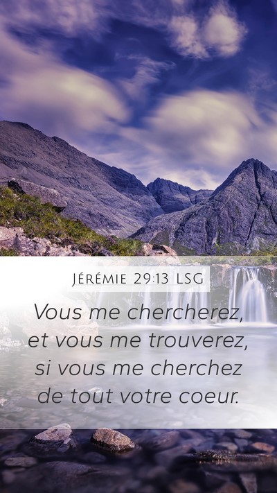 Jérémie 29:13 LSG Bible Verse Image
