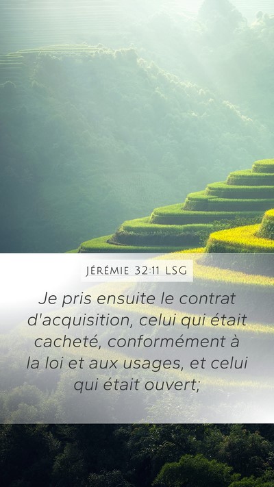 Jérémie 32:11 LSG Mobile Phone Wallpaper - Je pris ensuite le contrat d'acquisition, celui - Mobile Bible Verse Wallpaper