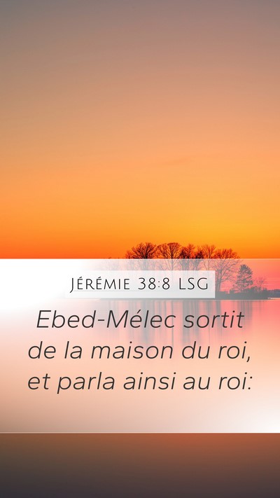 Jérémie 38:8 LSG Bible Verse Image