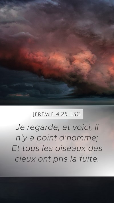 Jérémie 4:25 LSG Bible Verse Image