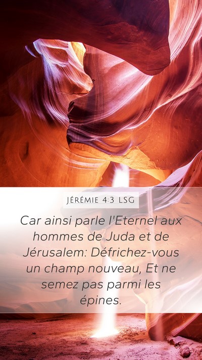 Jérémie 4:3 LSG Bible Verse Image