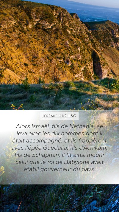 Jérémie 41:2 LSG Bible Verse Image