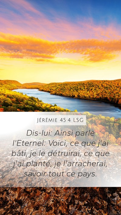 Jérémie 45:4 LSG Bible Verse Image