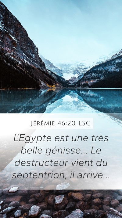 Jérémie 46:20 LSG Bible Verse Image