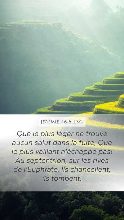 Jérémie 46:6 LSG Bible Verse Image