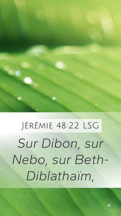 Jérémie 48:22 LSG Bible Verse Image