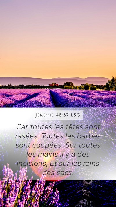 Jérémie 48:37 LSG Bible Verse Image
