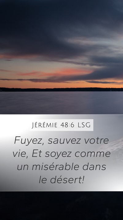 Jérémie 48:6 LSG Bible Verse Image