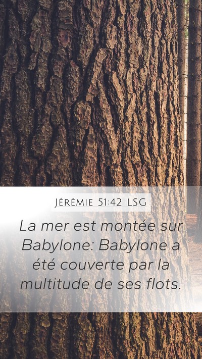 Jérémie 51:42 LSG Bible Verse Image