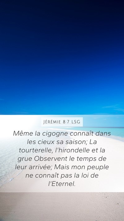 Jérémie 8:7 LSG Bible Verse Image