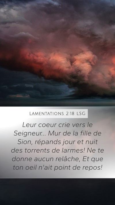 Lamentations 2:18 LSG Bible Verse Image