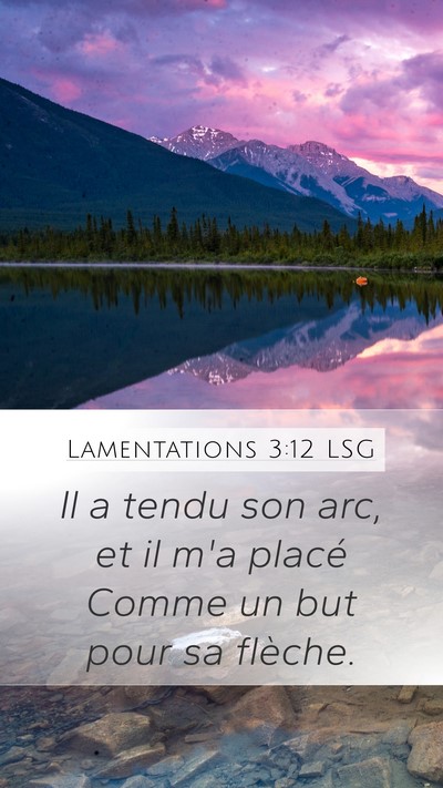Lamentations 3:12 LSG Bible Verse Image
