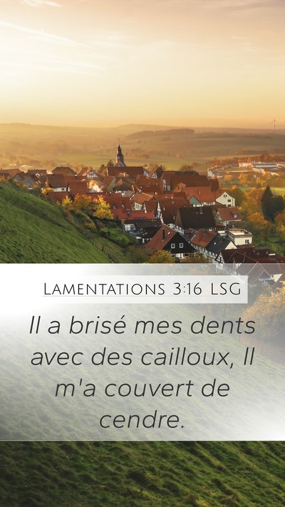 Lamentations 3:16 LSG Mobile Phone Wallpaper - Il a brisé mes dents avec des cailloux, Il m'a - Mobile Bible Verse Wallpaper