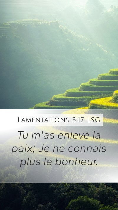 Lamentations 3:17 LSG Mobile Phone Wallpaper - Tu m'as enlevé la paix; Je ne connais plus le - Mobile Bible Verse Wallpaper