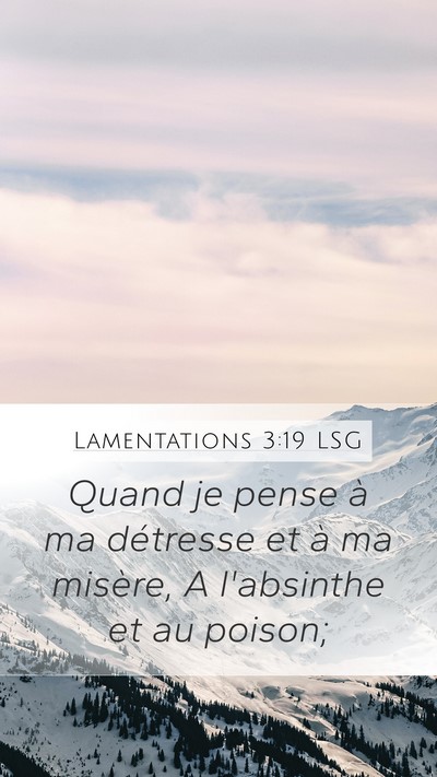 Lamentations 3:19 LSG Bible Verse Image