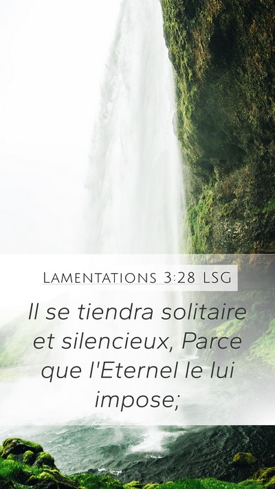 Lamentations 3:28 LSG Bible Verse Image