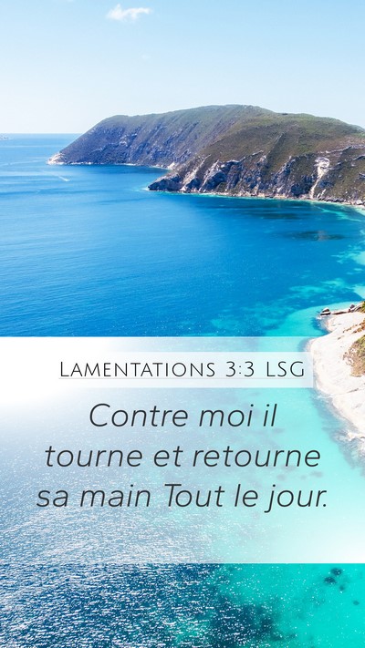 Lamentations 3:3 LSG Bible Verse Image