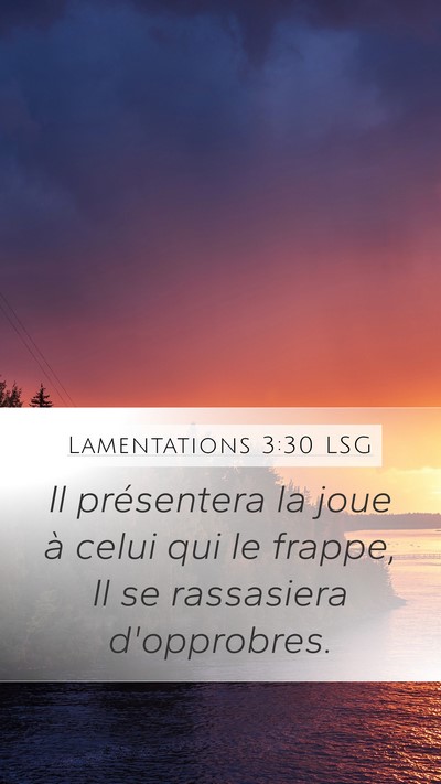 Lamentations 3:30 LSG Bible Verse Image