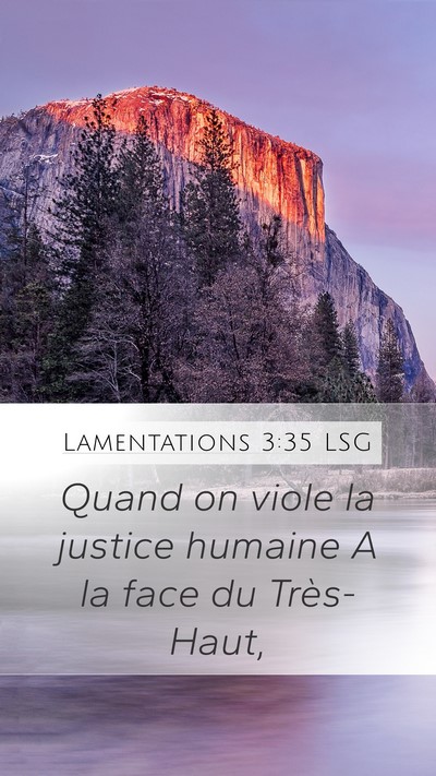 Lamentations 3:35 LSG Bible Verse Image