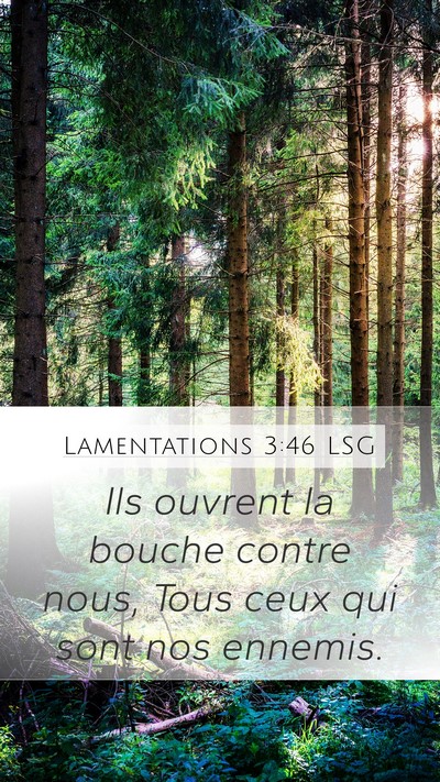 Lamentations 3:46 LSG Bible Verse Image