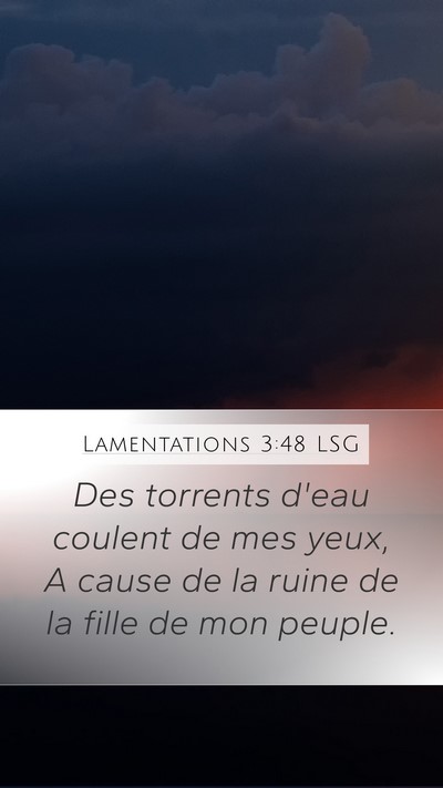 Lamentations 3:48 LSG Bible Verse Image