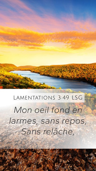 Lamentations 3:49 LSG Mobile Phone Wallpaper - Mon oeil fond en larmes, sans repos, Sans - Mobile Bible Verse Wallpaper