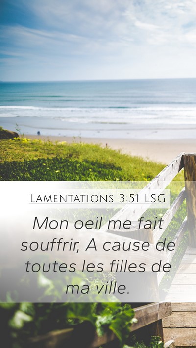 Lamentations 3:51 LSG Bible Verse Image